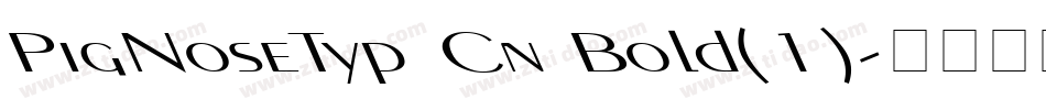 PigNoseTyp Cn Bold(1)字体转换